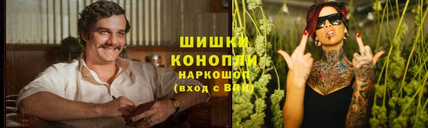 спайс Баксан