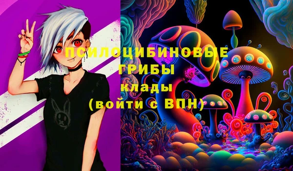 спайс Баксан
