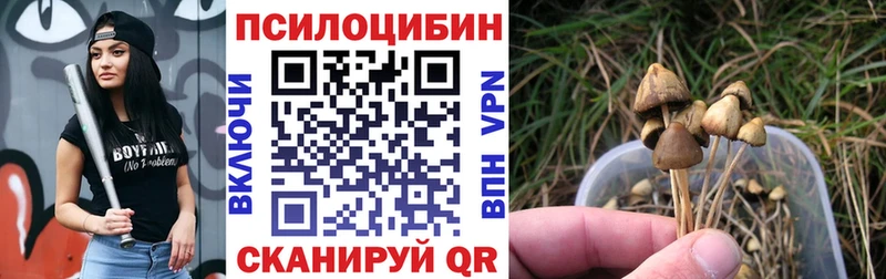 ссылка на мегу ссылки  Вятские Поляны  Галлюциногенные грибы ЛСД 