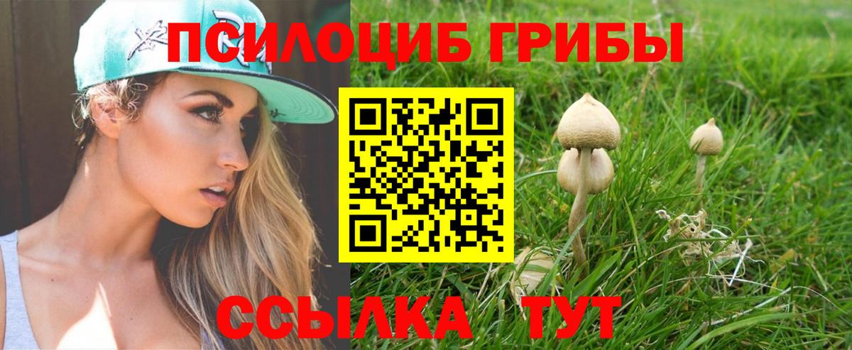 Галлюциногенные грибы мухоморы Вятские Поляны