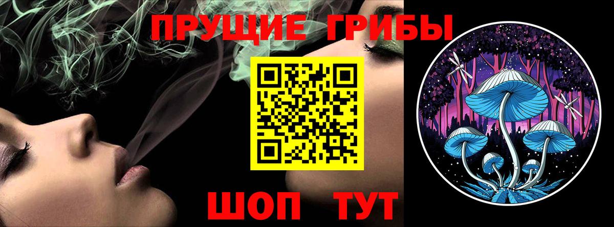 Вятские Поляны  купить закладку  Вход с VPN  Галлюциногенные грибы Cubensis  Псилоцибиновые грибы ЛСД 