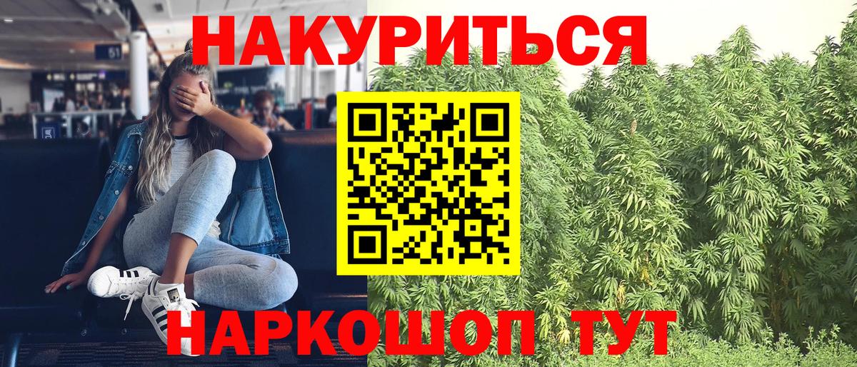 Конопля сатива Вятские Поляны